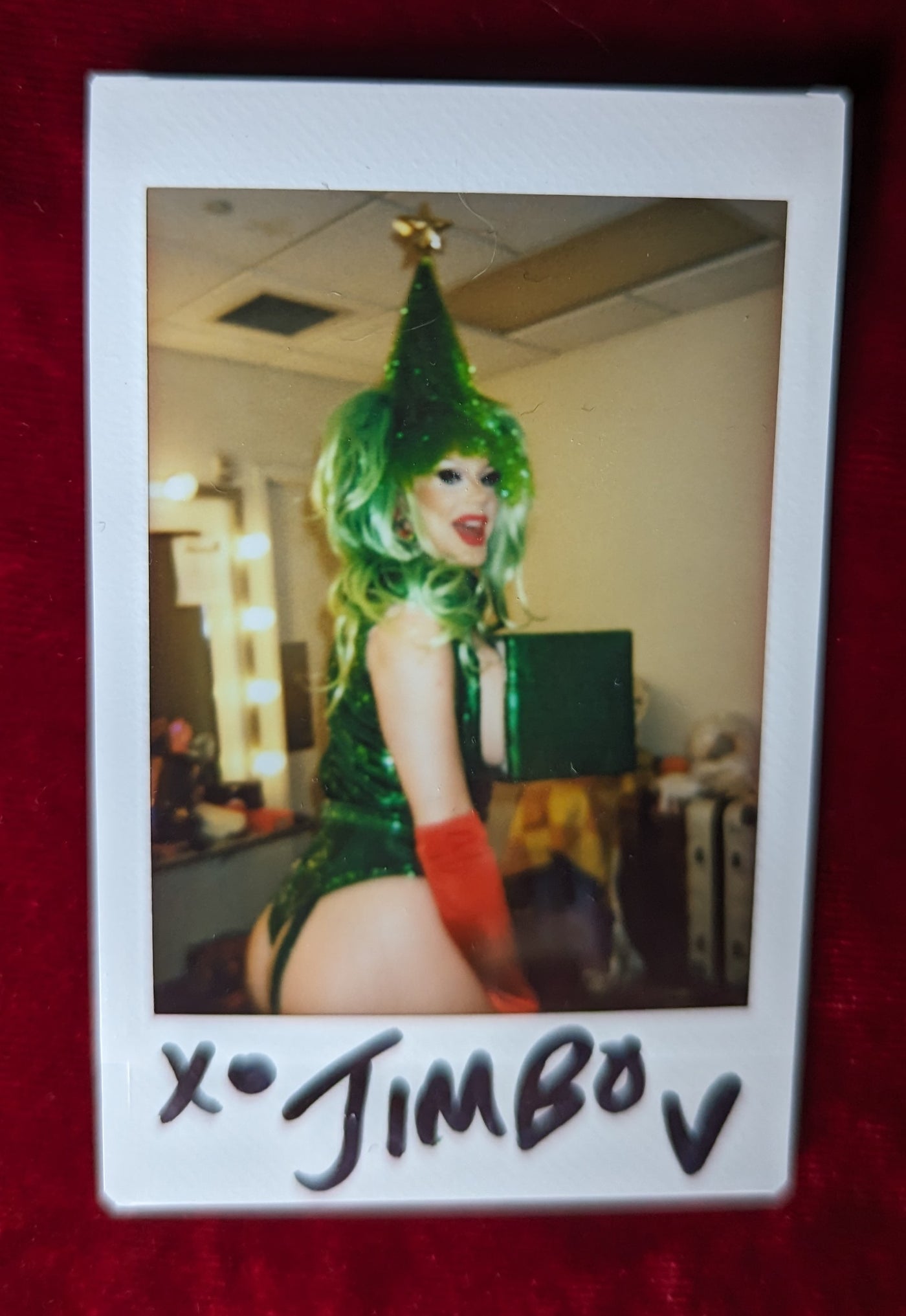 XMAS TOUR POLAROIDS - It's a picture of my tits in a box!