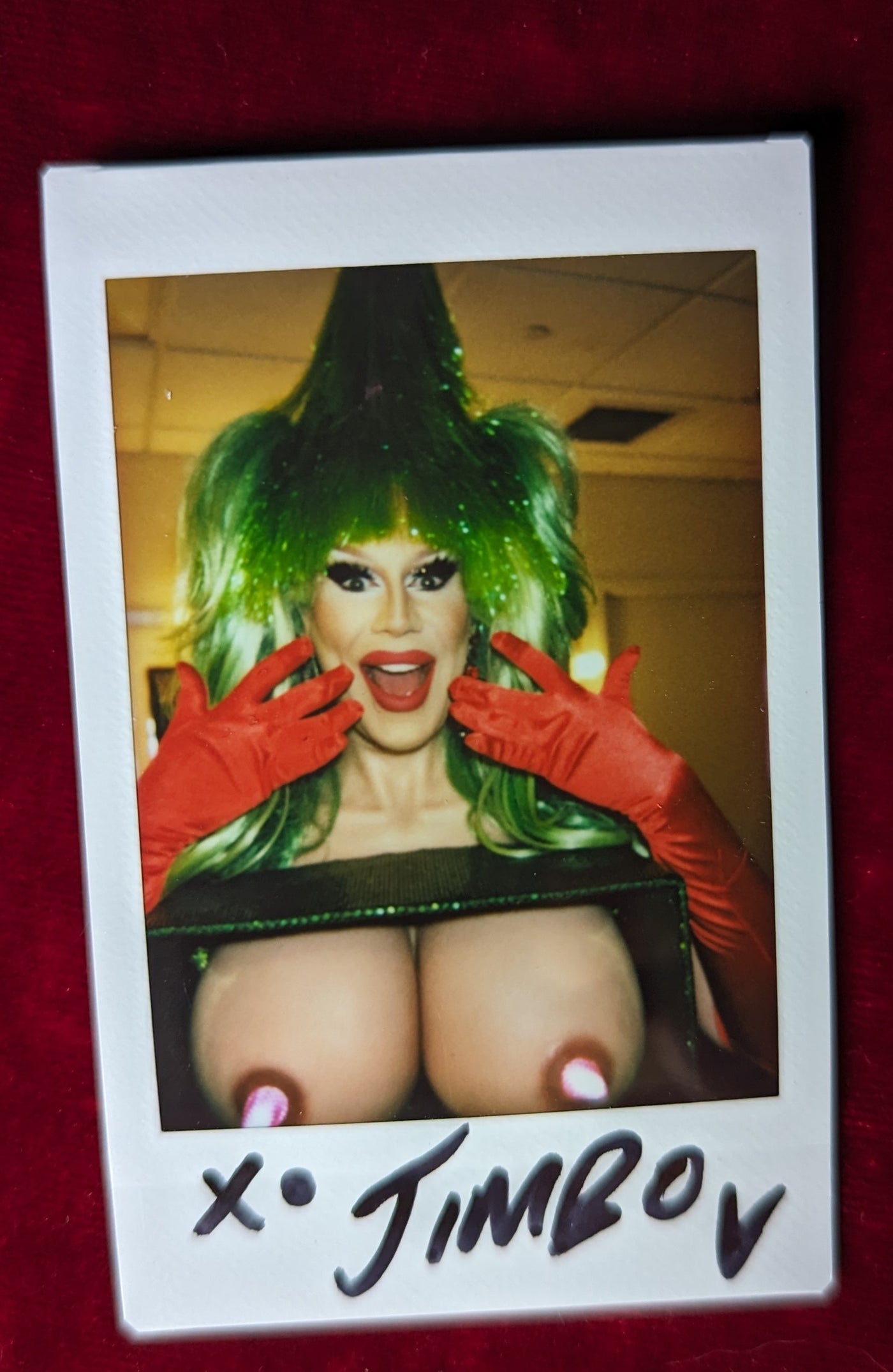 XMAS TOUR POLAROIDS - It's a picture of my tits in a box!